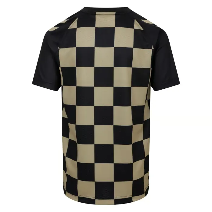 Camiseta Prepartido Alternativa Tercera de Coventry City 2024/25 para Niños