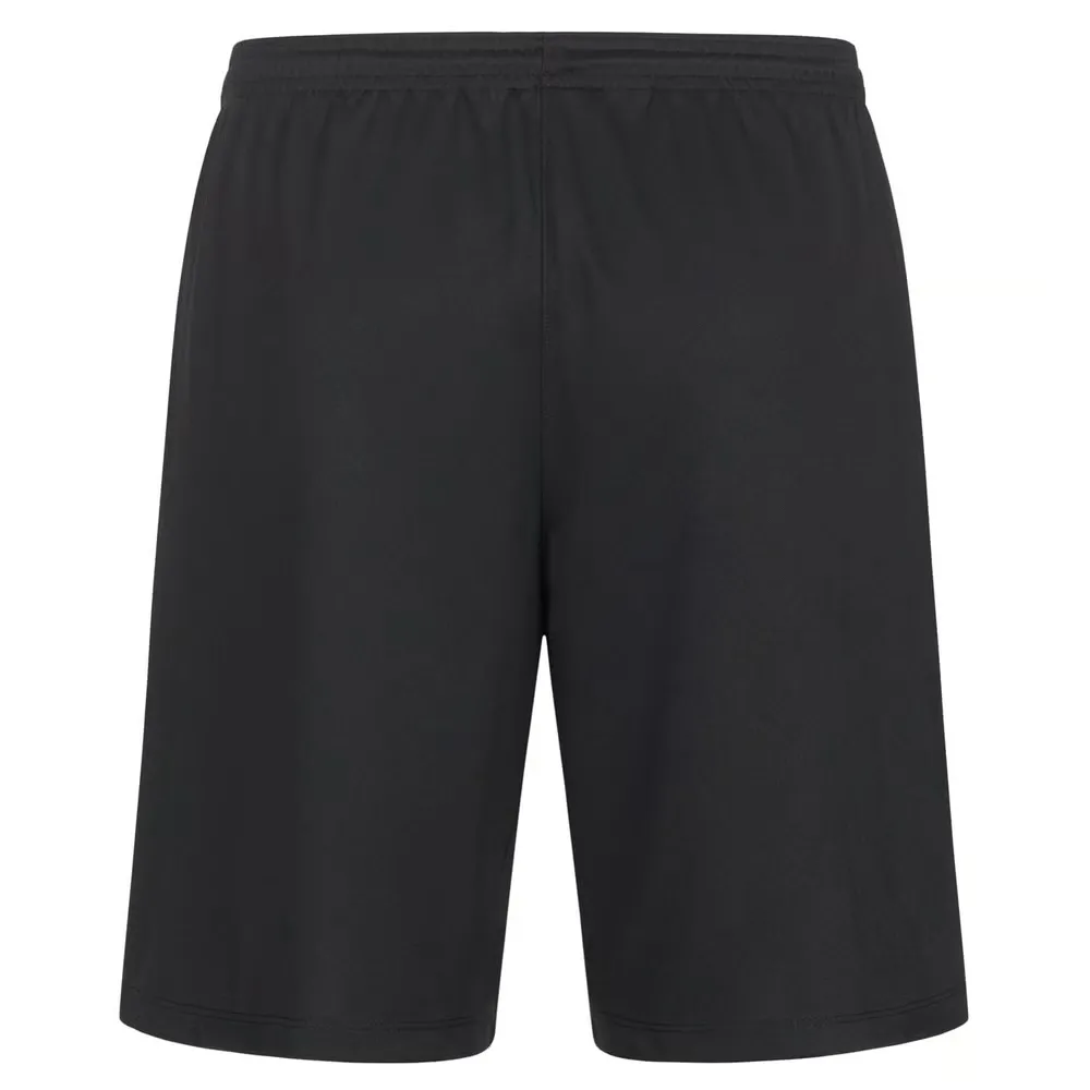 1806574_C6442E11-A938-F22B-64B4-2AF5E176E882