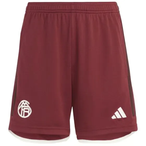 Pantalones cortos Third Bayern Munich 2023/24 para hombre