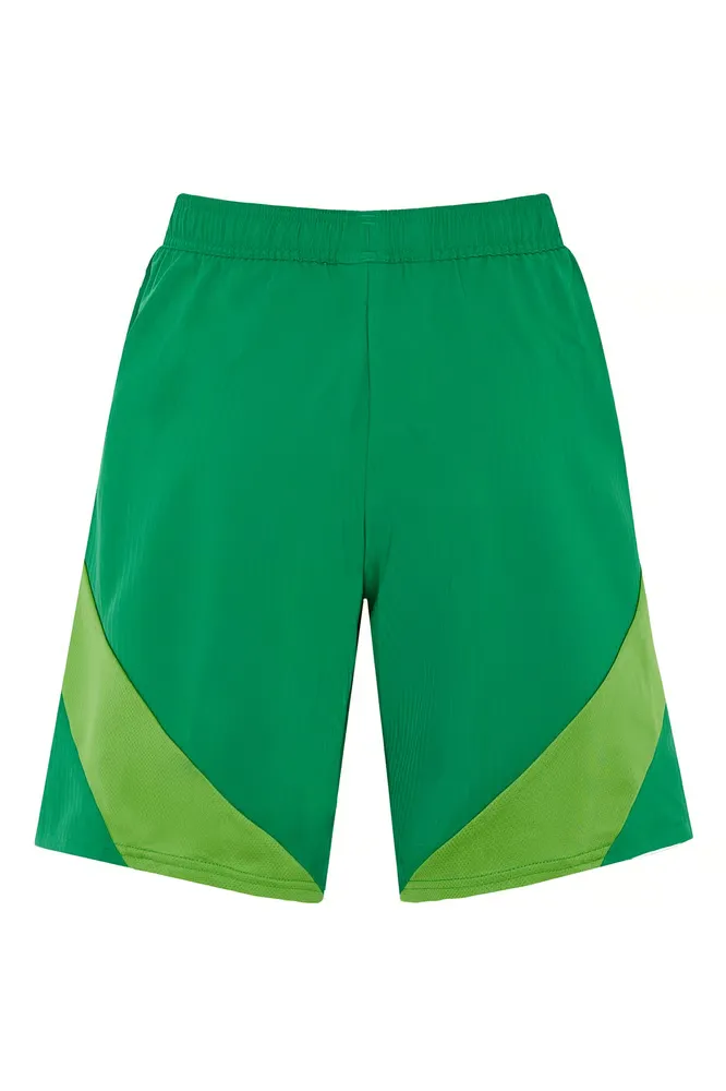 Pantalones cortos de partidos amistosos tercera de hombre Panathinaikos FC 2024/25 - Verdes - Imagen 2