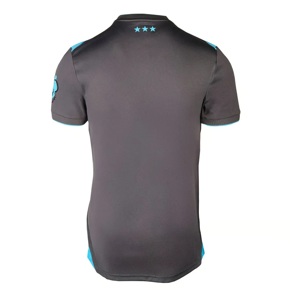 Mujer Ipswich Town 2025/26 Tercera Camiseta - Imagen 2